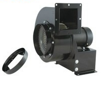 CY200A4PY-EG