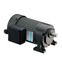 G11H100G-10